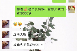 宁波融资清欠服务